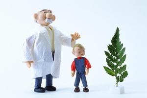 各種免許の写真を綺麗に撮りたいのなら